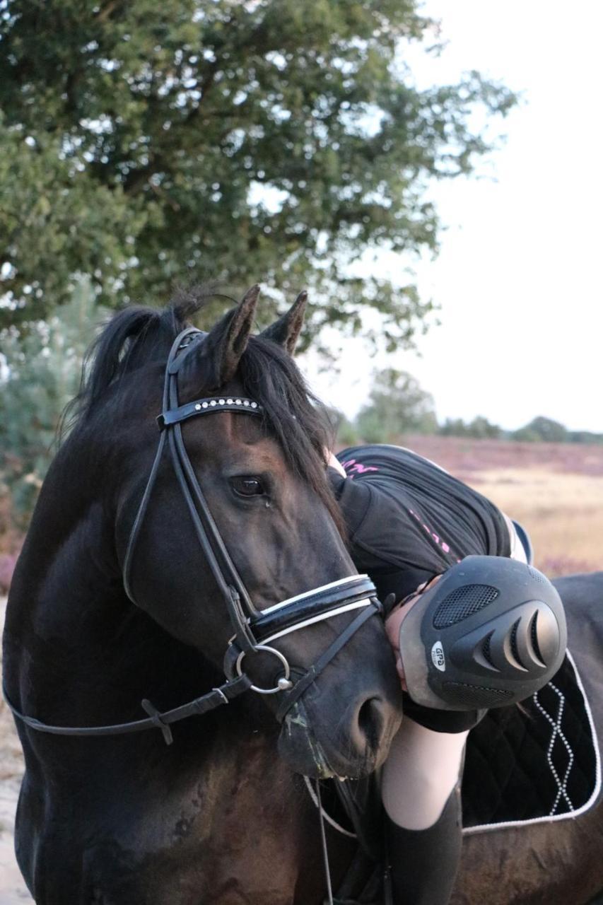 Ledeacker Magnolia Hoeve - Unieke Bestemming Voor Paardenliefhebbers En Bijzondere Overnachtingen In De Natuur מראה חיצוני תמונה
