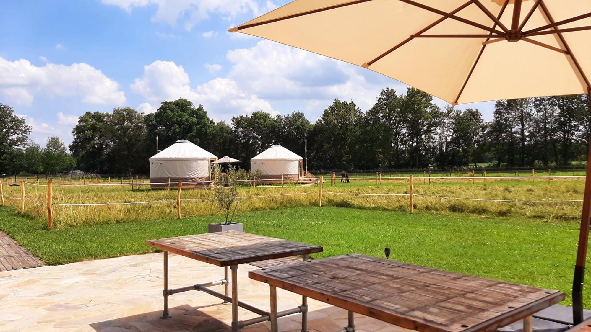 Ledeacker Magnolia Hoeve - Unieke Bestemming Voor Paardenliefhebbers En Bijzondere Overnachtingen In De Natuur מראה חיצוני תמונה