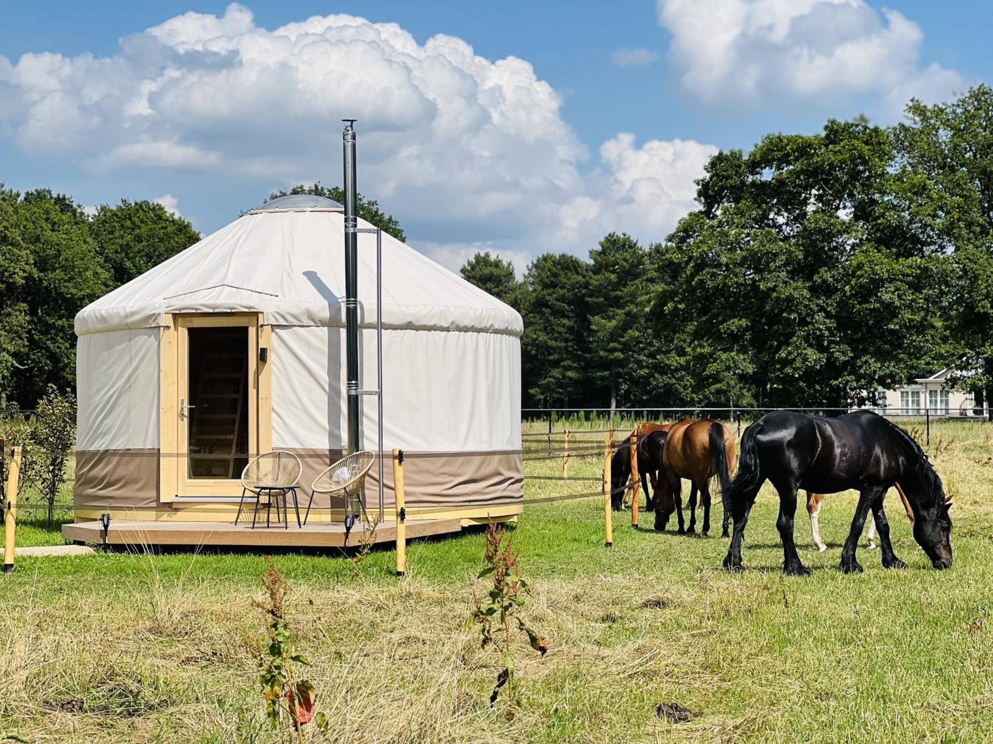 Ledeacker Magnolia Hoeve - Unieke Bestemming Voor Paardenliefhebbers En Bijzondere Overnachtingen In De Natuur מראה חיצוני תמונה