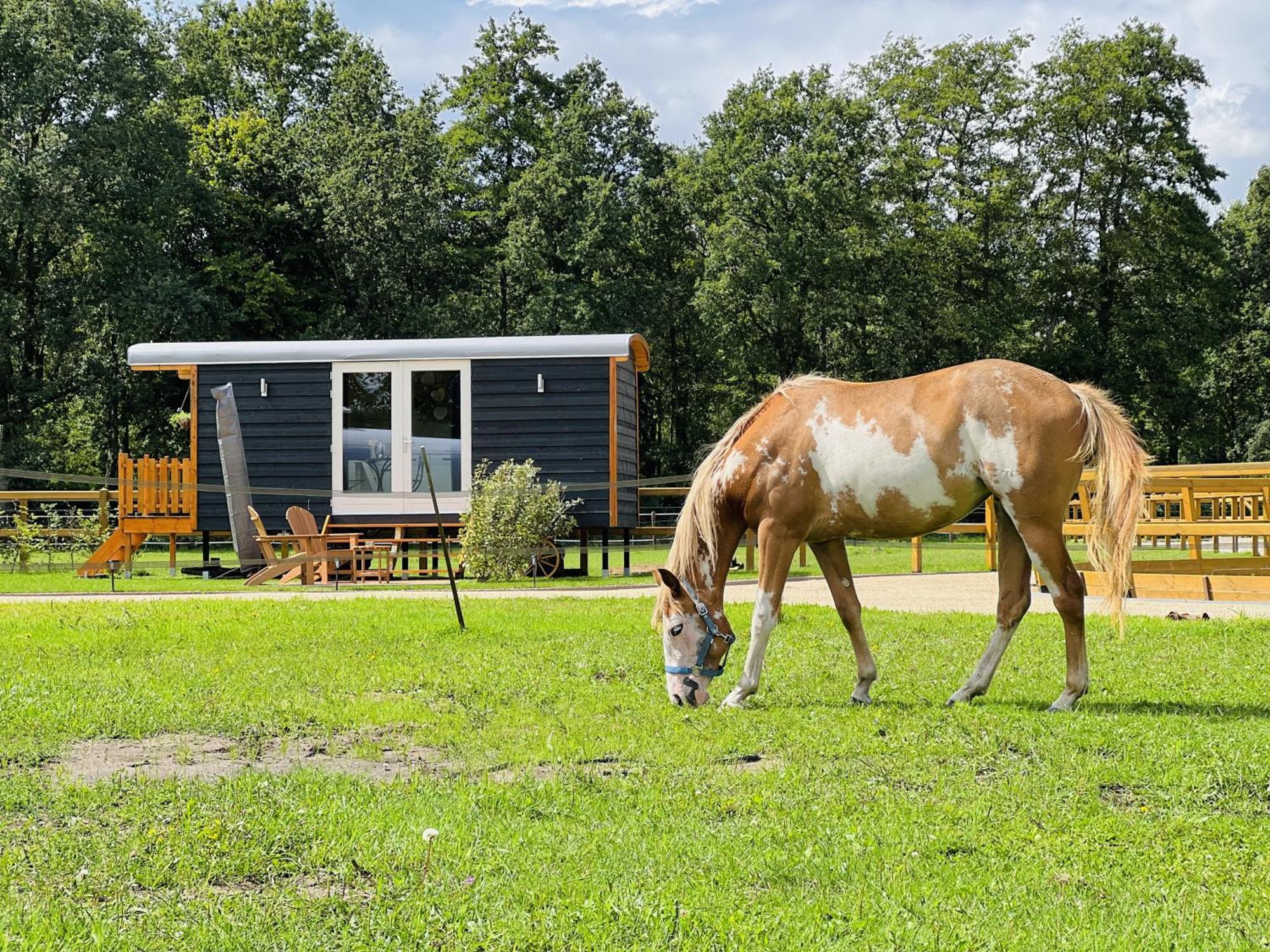 Ledeacker Magnolia Hoeve - Unieke Bestemming Voor Paardenliefhebbers En Bijzondere Overnachtingen In De Natuur מראה חיצוני תמונה