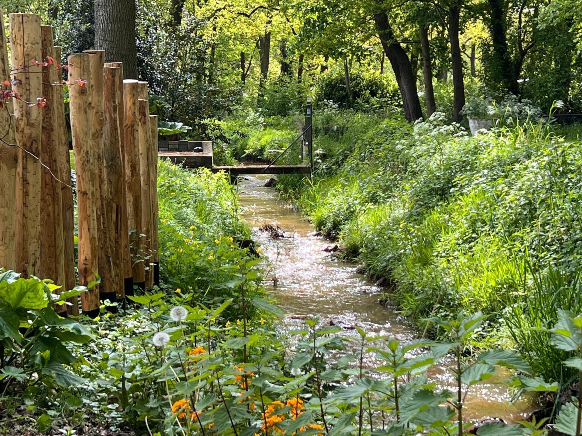 Ledeacker Magnolia Hoeve - Unieke Bestemming Voor Paardenliefhebbers En Bijzondere Overnachtingen In De Natuur מראה חיצוני תמונה